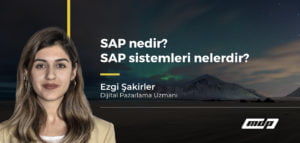 SAP nedir