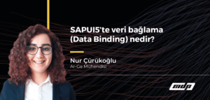 SAPUI5 Data Binding