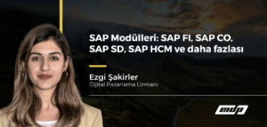 SAP Modülleri