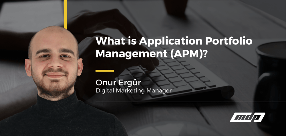 What is Application Portfolio Management APM Best Practices