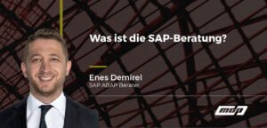 Was ist die SAP-Beratung