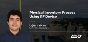 Physical Inventory Process Using RF Device