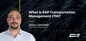 What is SAP Transportation Management?