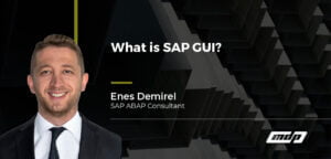 What is SAP GUI?