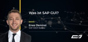 Was ist SAP GUI