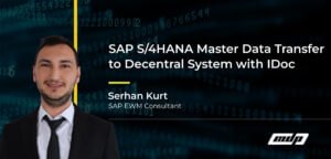 SAP S/4HANA Master Data Transfer to Decentral System with IDoc