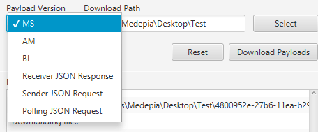 Multiple Payload Downloader for SAP PO