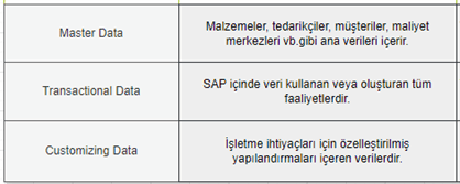 Master Data Transactional Data, Customizing Data