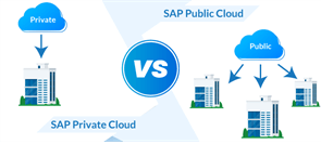 SAP Private Cloud vs. SAP Public Cloud