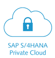 sap hana private cloud