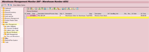 warehouse management monitor sap