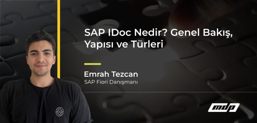 SAP IDoc Nedir_ Genel Bakış, Yapısı ve Türleri