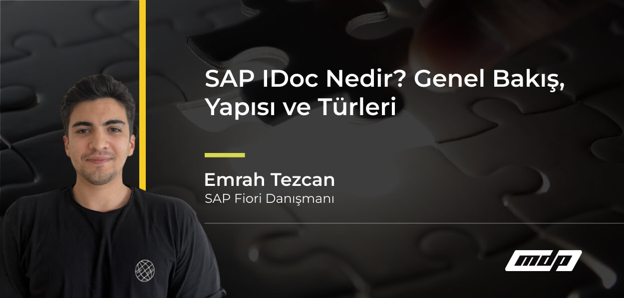 SAP IDoc Nedir_ Genel Bakış, Yapısı ve Türleri