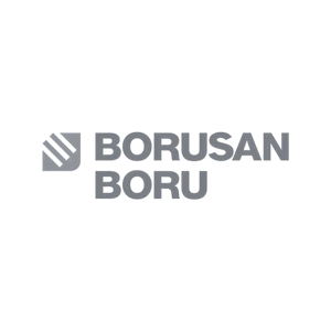 borusan boru logo