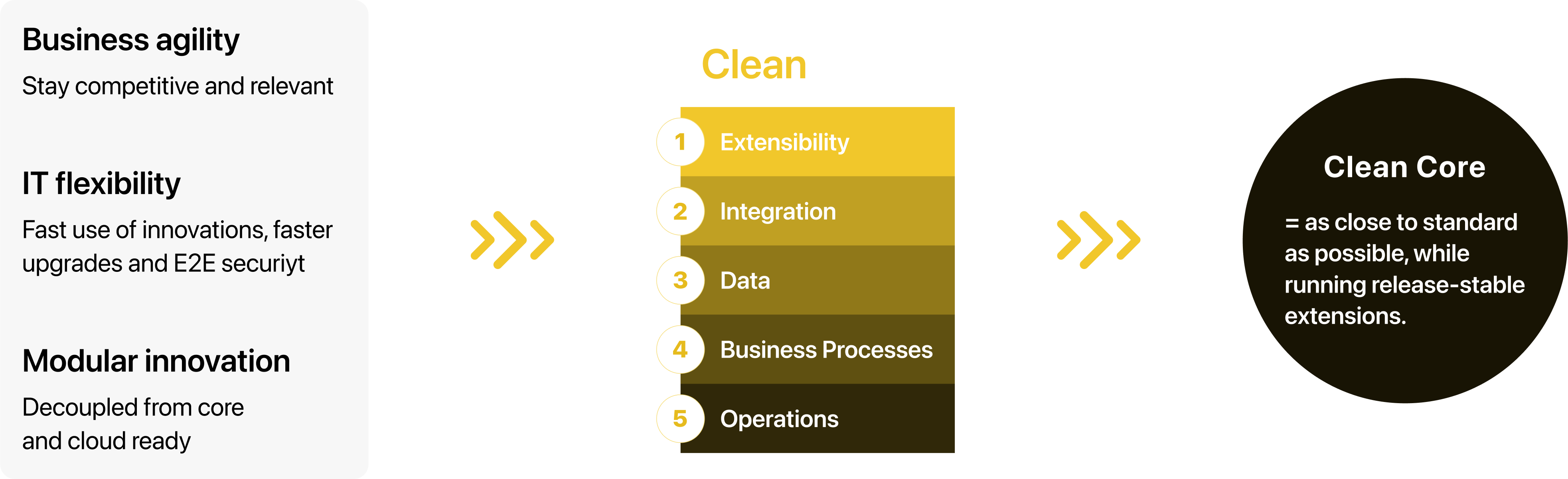 SAP Clean Core Strategy