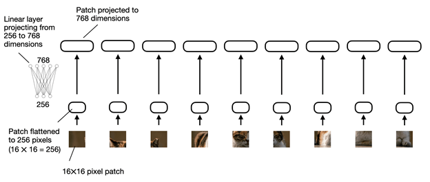 Figure 4 Linear projection layer that projects flattened image patches from a 256-dimensional into a 768-dimensional embedding space [2]
