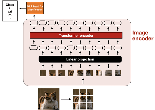 Figure 3: A classic setup of Vision Transformer (ViT) [3]